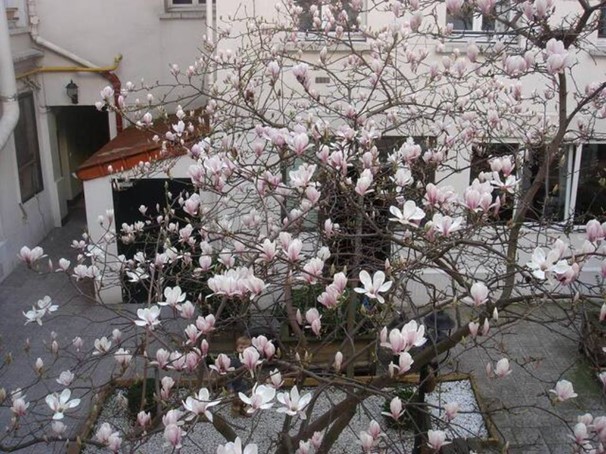 Appartement donnant sur cour, calme